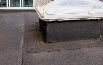 disadvantages of Ilsington flat roofs