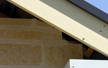 soffit repair Ilsington