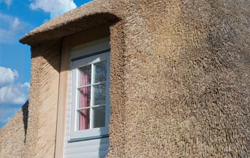 Ilsington thatch roof disadvantages